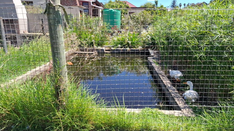 2 Bedroom Property for Sale in Heidelberg Western Cape